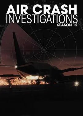 惊心动魄的空中灾难：第十二季揭秘真实飞行事故