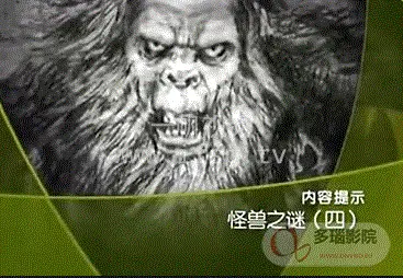 《大'真探'怪兽之谜》：荒诞喜剧下的正义追寻