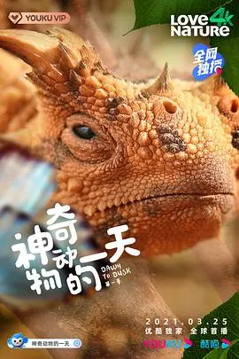 《神奇动物的一天》第一季：沉浸式动物世界之旅，探索自然的奥秘与感动！