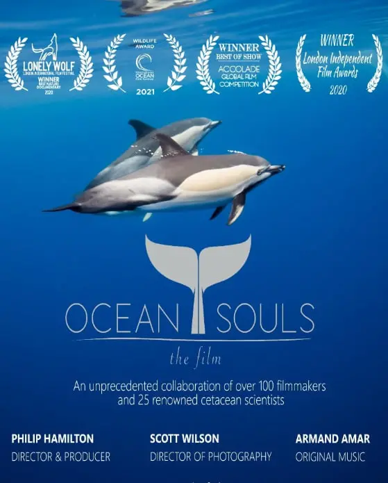 《海洋之魂》：一场涤荡心灵的蓝色史诗，探索人与自然的终极羁绊！