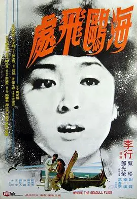 《海鸥飞处》：爱情的救赎之旅与国宝秘密的感人故事