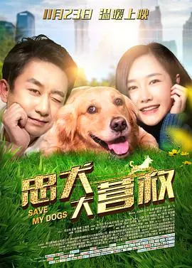 《忠犬大营救》：萌宠出击，温情治愈，一场跨越生死的忠诚告白！