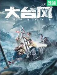 《大台风》：在绝境中绽放的生命之花，一场关于希望与坚韧的史诗。