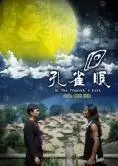 《孔雀眼》：一场关于爱情、欲望与救赎的迷人视觉盛宴，探寻人性深处的幽暗与光明